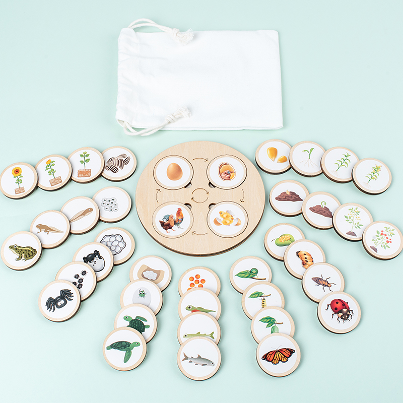 Montessori Shelf Toy - Papan sepeda hidup Kit Montessori, pendidikan