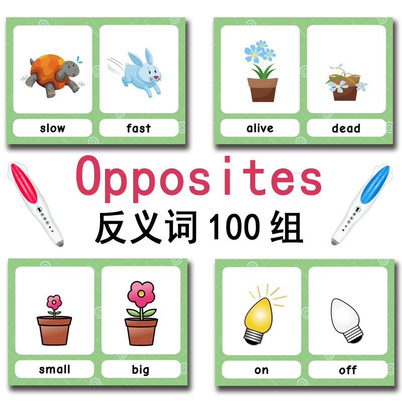 100 Kartu Flashcard Kata Bahas - Kid Education ulasan dan harga