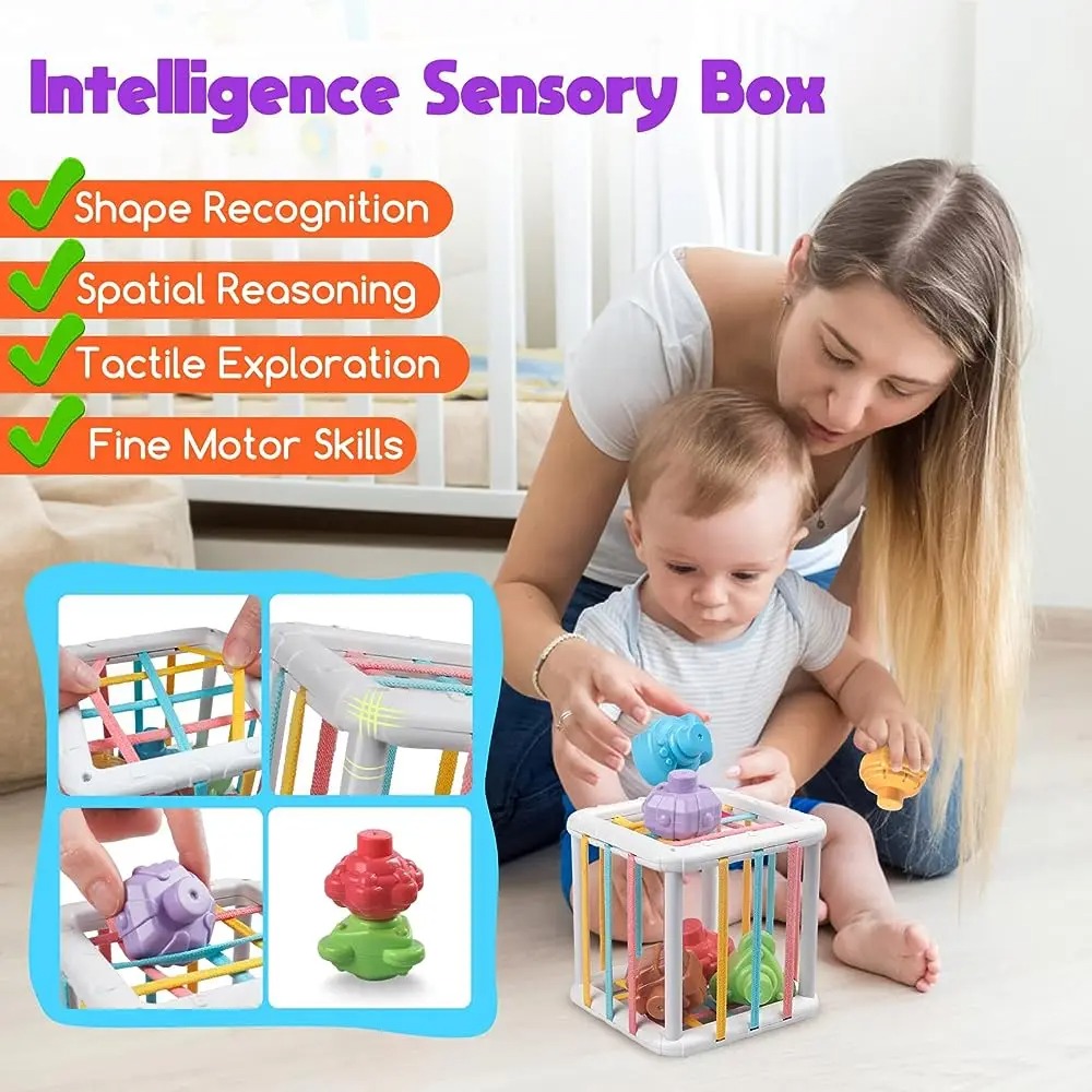 Mainan Edukasi Kognitif Pelati - Kid Education ulasan dan harga