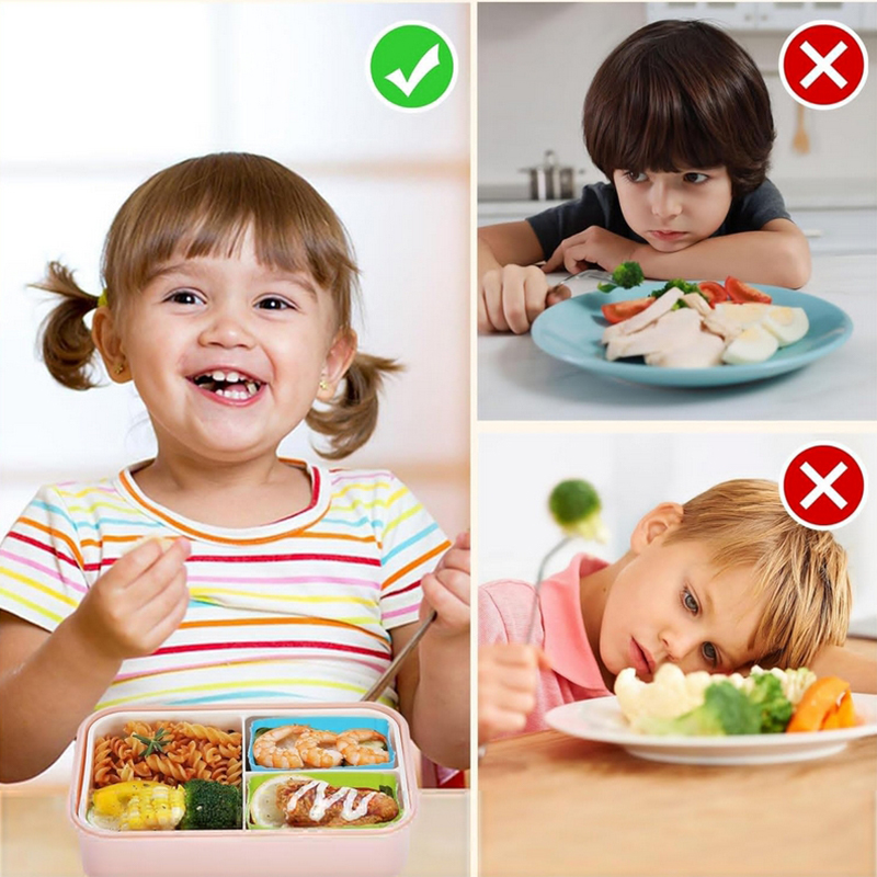 8 Buah Pembagi Kotak Makan Sia - Kids Education School ulasan dan harga