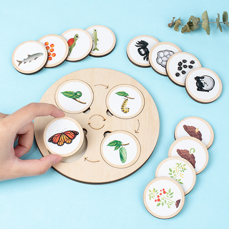 Papan sepeda hidup Kit Montess - Montessori Shelf Toy ulasan dan harga